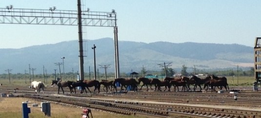 IMG_1110 - Version 2